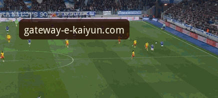 开云官网使用教程 3个关键视角:从帕尼切利重伤看开云体育平台如何深度解析赛事动态